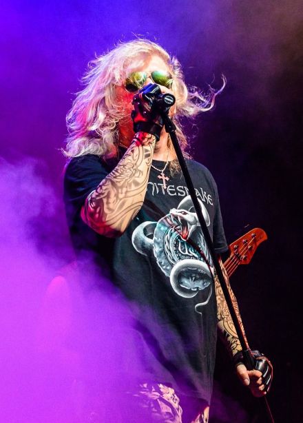 Whitesnake Tribute