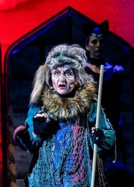 Мюзикл «Царевна-лягушка»