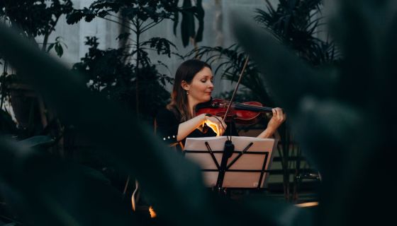Магия свечей. Времена года. Vivaldi vs Piazzolla