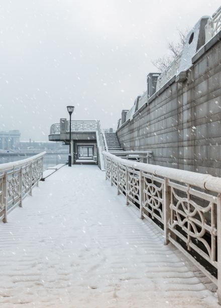 Рождественский Петербург