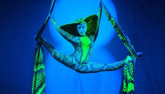 Шоу «Яйцо динозавра»