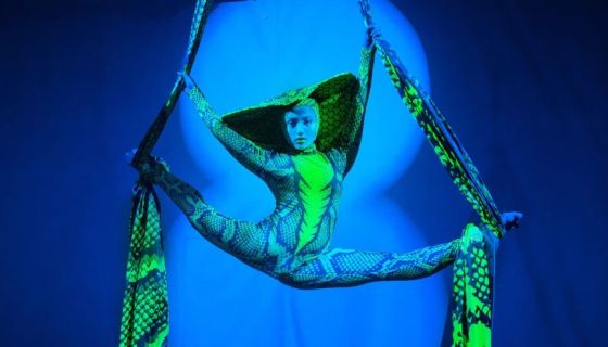 Шоу «Яйцо динозавра»