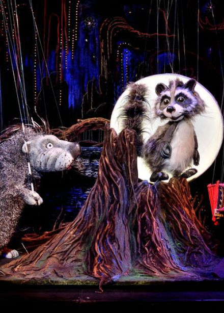 Крошка Енот