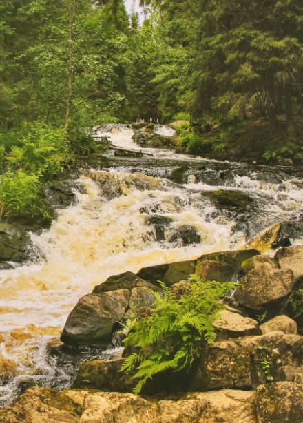 Природа Карелии: четыре водопада и круиз на ладье по Ладожским шхерам