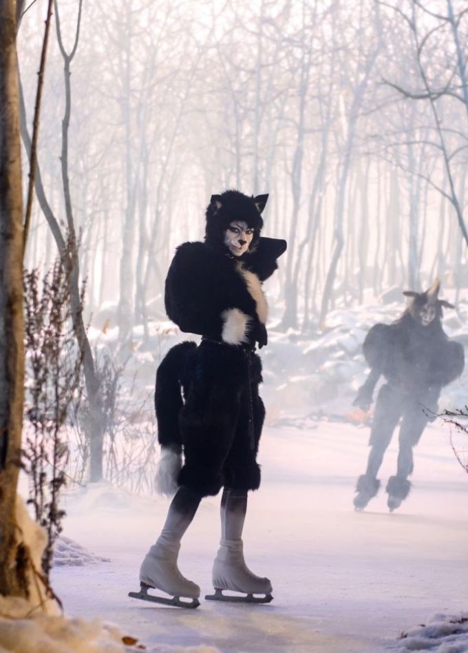 Ледовое шоу «Бременские музыканты»