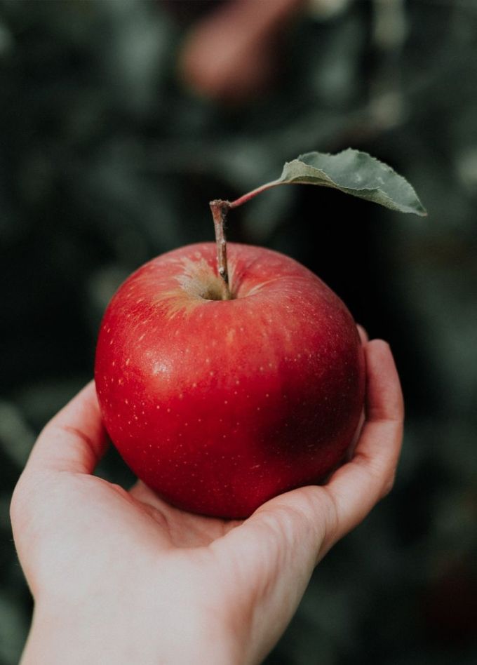 Опера «Белоснежка»