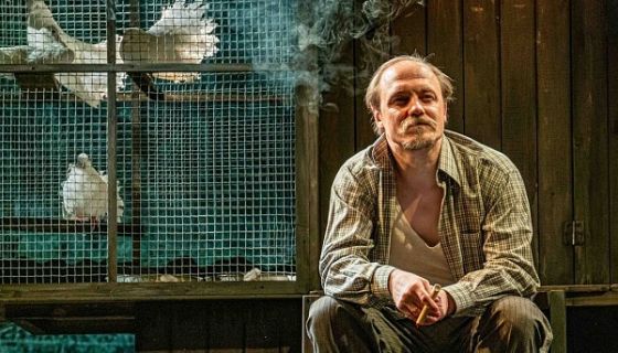 Спектакль «Любовь и голуби»