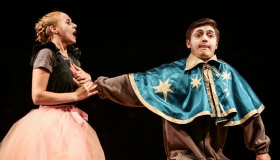 Спектакль «Двенадцатая ночь, или Как угодно»