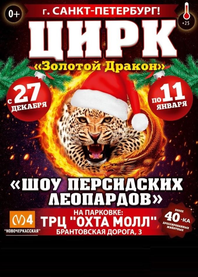 Цирк «Золотой Дракон»