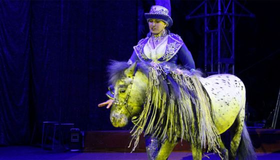 Цирк «Золотой Дракон»