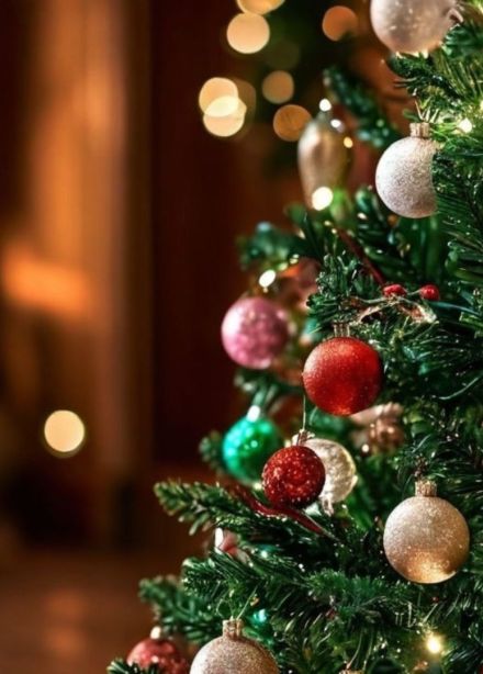 От Вивальди до новогодних песен