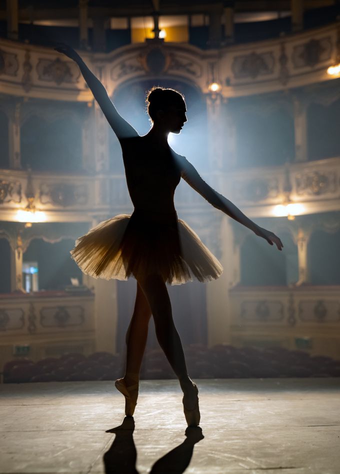 Балетные сцены во дворце. Экскурсия и концерт