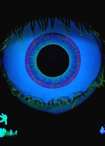 Микробус и Бактерикус