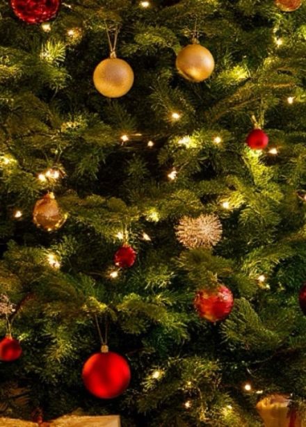 Новый год под музыку Вивальди при свечах