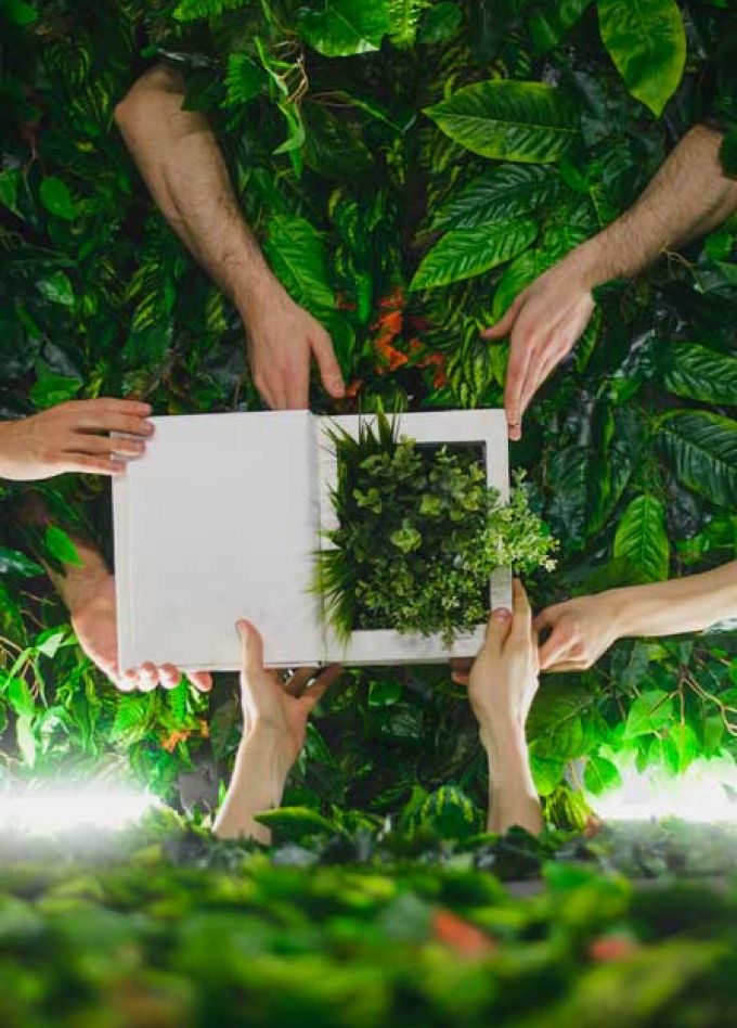 Сад наслаждений