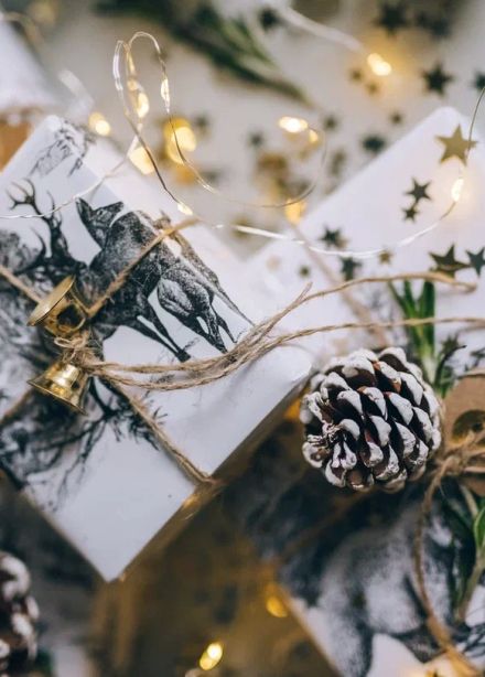 Поздравление от Деда Мороза + посещение парка