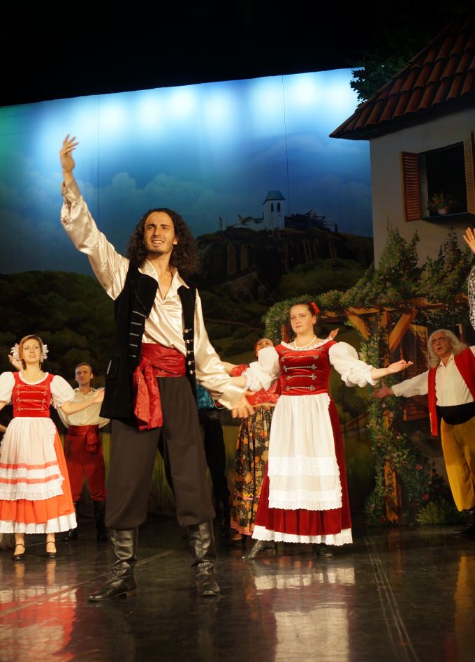 Цыганский барон