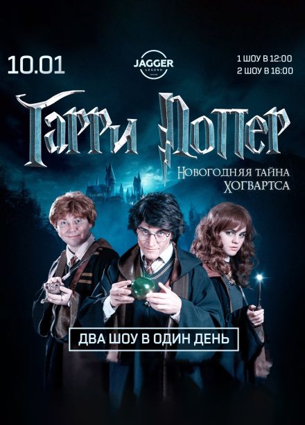 Шоу «Гарри Поттер и Новогодняя тайна Хогвартса»