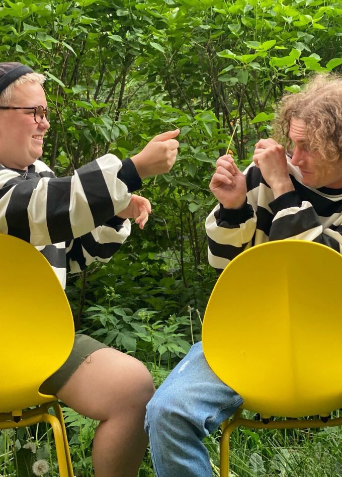 Енот на высоте