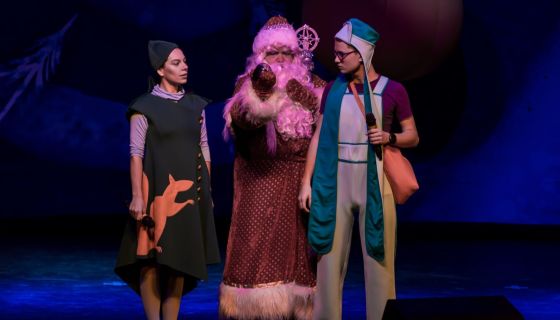 Мюзикл «Новогодние приключения Маши и Вити»