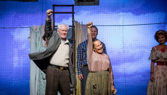 Спектакль «Любовь и голуби», Пушкин