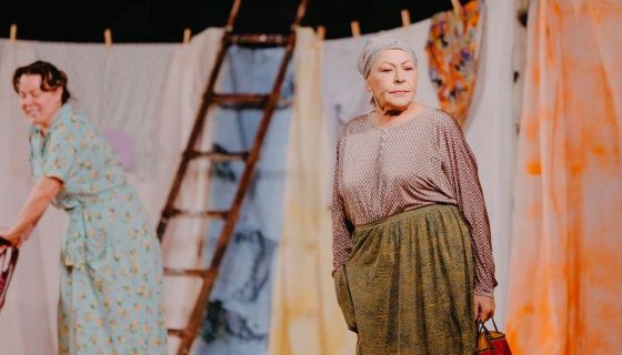 Спектакль «Любовь и голуби», Пушкин