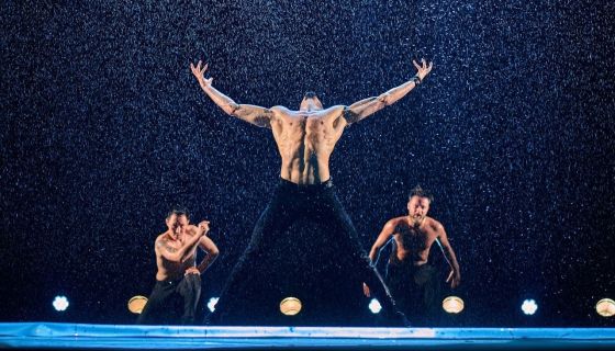 Шоу под дождём VII. И где, …, счастье?