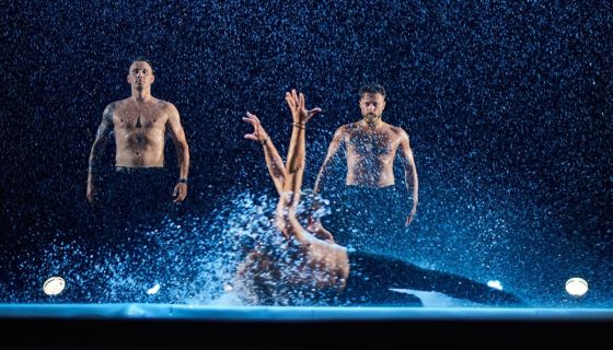 Шоу под дождём VII. И где, …, счастье?