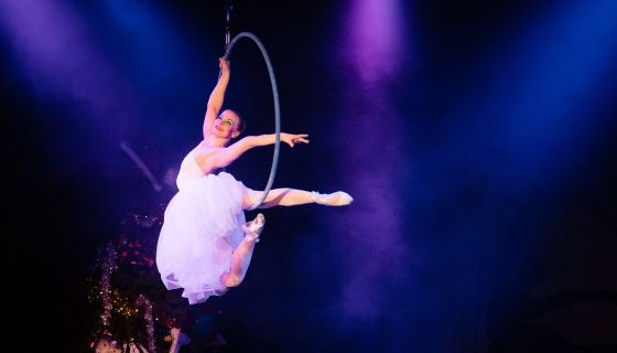 Шоу «Новогодний вечер с Лицедеями»