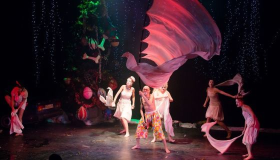 Шоу «Новогодний вечер с Лицедеями»