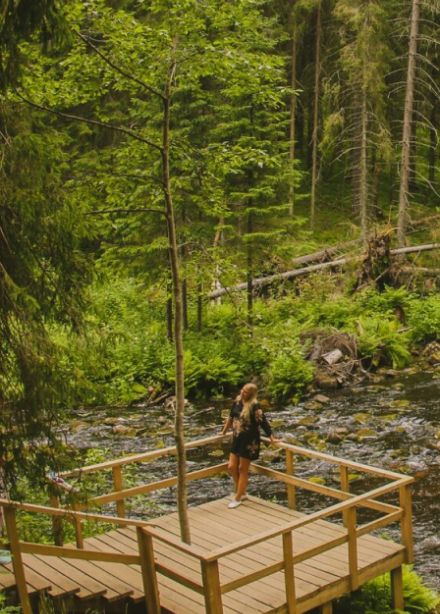 Дивный день в Карелии: водопады, хаски, водная прогулка на драккаре к форелевой ферме