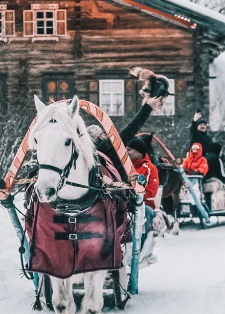 Тур на 1 день «Зимнее волшебство в Мандрогах: погружение в древнерусские традиции и быт»