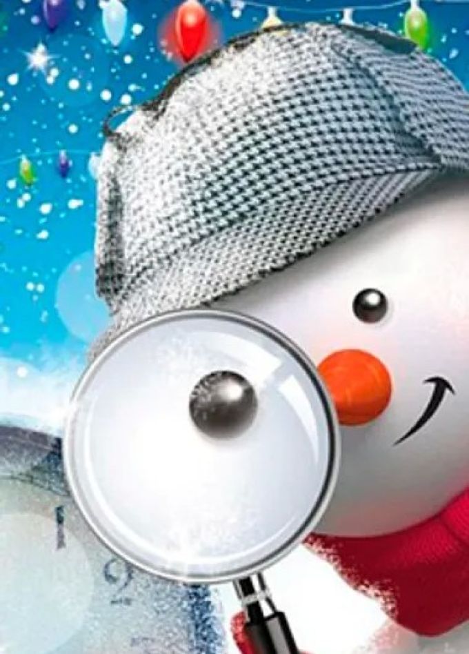 Мюзикл «Следствие ведёт Снеговик, или Дело № 202»