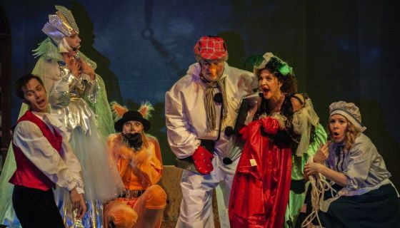 Мюзикл «Следствие ведёт Снеговик, или Дело № 202»