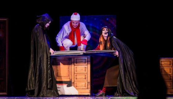 Шоу «Ледяное сердце, или Как Дед Мороз лёд растопил»