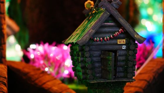 Выставка «Волшебный лес»