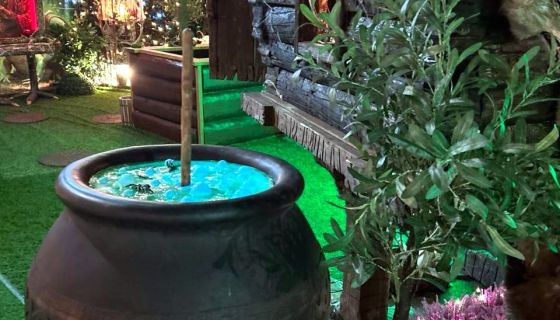 Выставка «Волшебный лес»