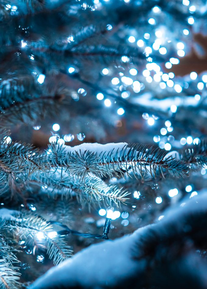 Новогодние приключения Незнайки и его друзей