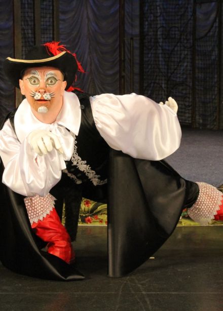 Приключения кота в сапогах