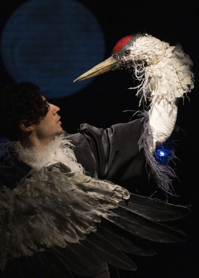 Журавль и цапля