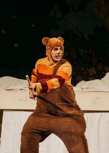 Спектакль «Винни-Пух и все-все-все»