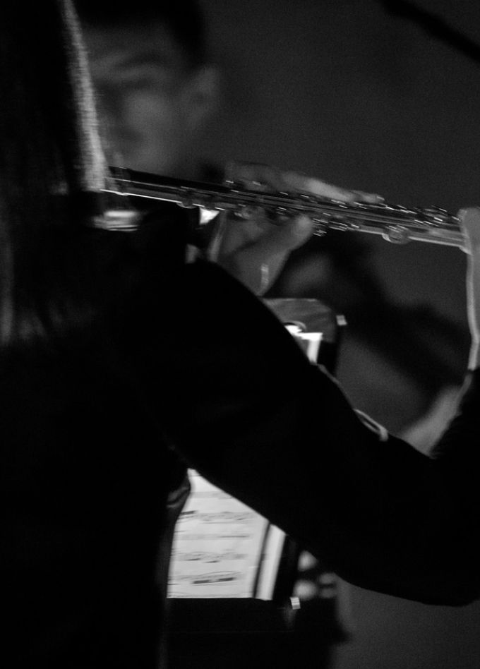 Анна Комарова. Цикл «Рециталы»