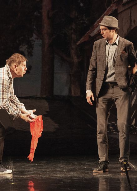 Идеальный свидетель