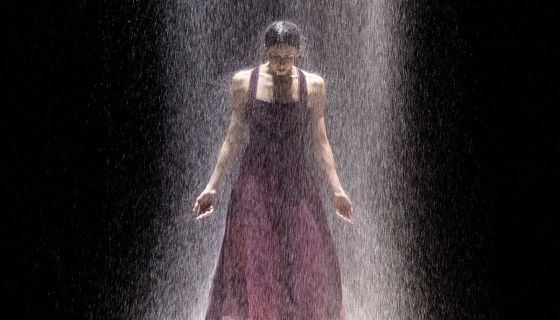 Балеты «Без слов», «Прелюдия» и «Белая тьма»