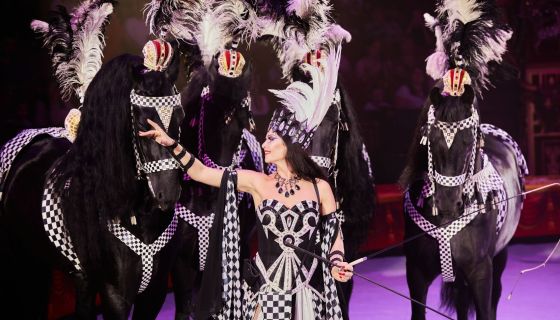 Королевский цирк Гии Эрадзе