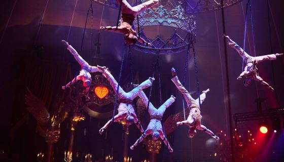 Королевский цирк Гии Эрадзе