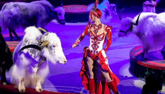 Королевский цирк Гии Эрадзе