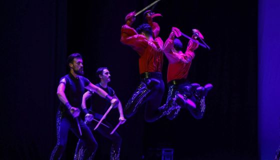 Шоу «Огни Анатолии»