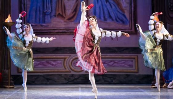 Балет «Лебединое озеро», Бокситогорск