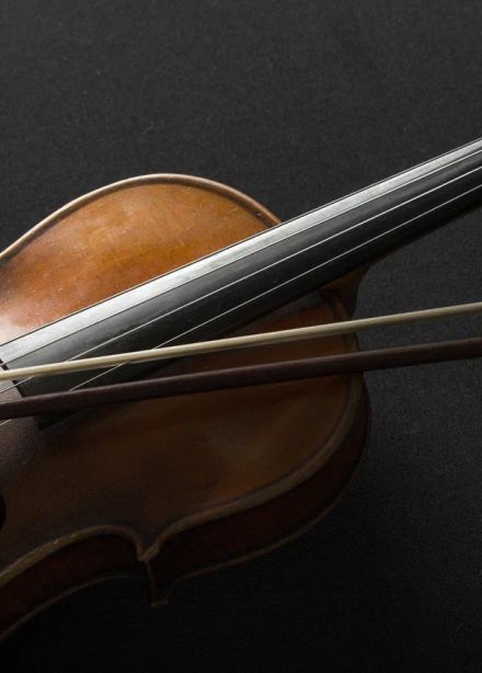 Музыка Вены. Весна